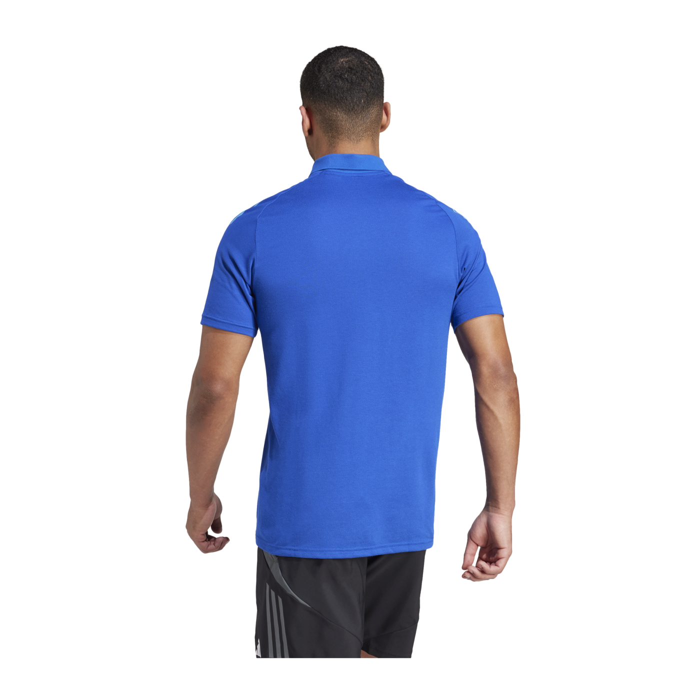 adidas Tiro 24 Competition Poloshirt Blau
