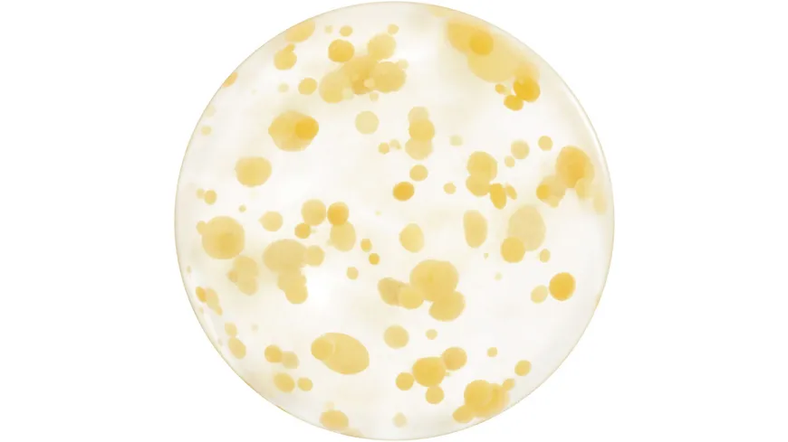 SHISEIDO WASO Nachtmaske Yuzu-C 50 ml