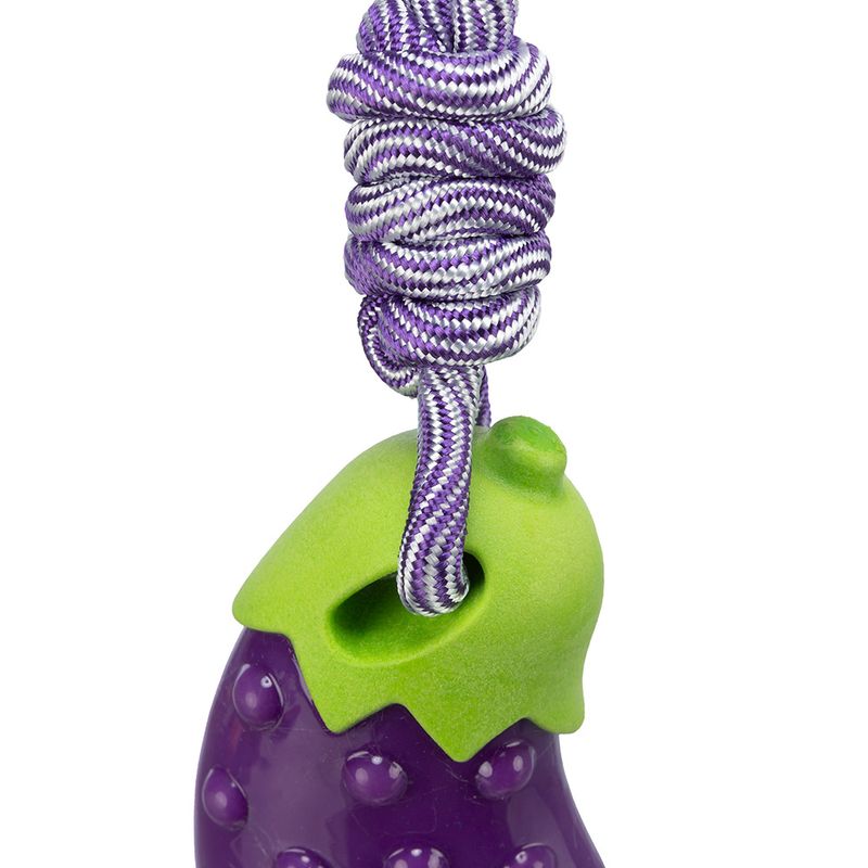 Trixie Hundespielzeug Aubergine am Seil zu TOP-Preisen | bitiba %