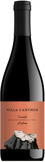 2019 Raboso Veneto IGP trocken - Villa Canthus