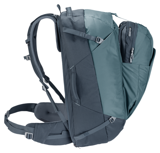 AViANT Access Pro 60