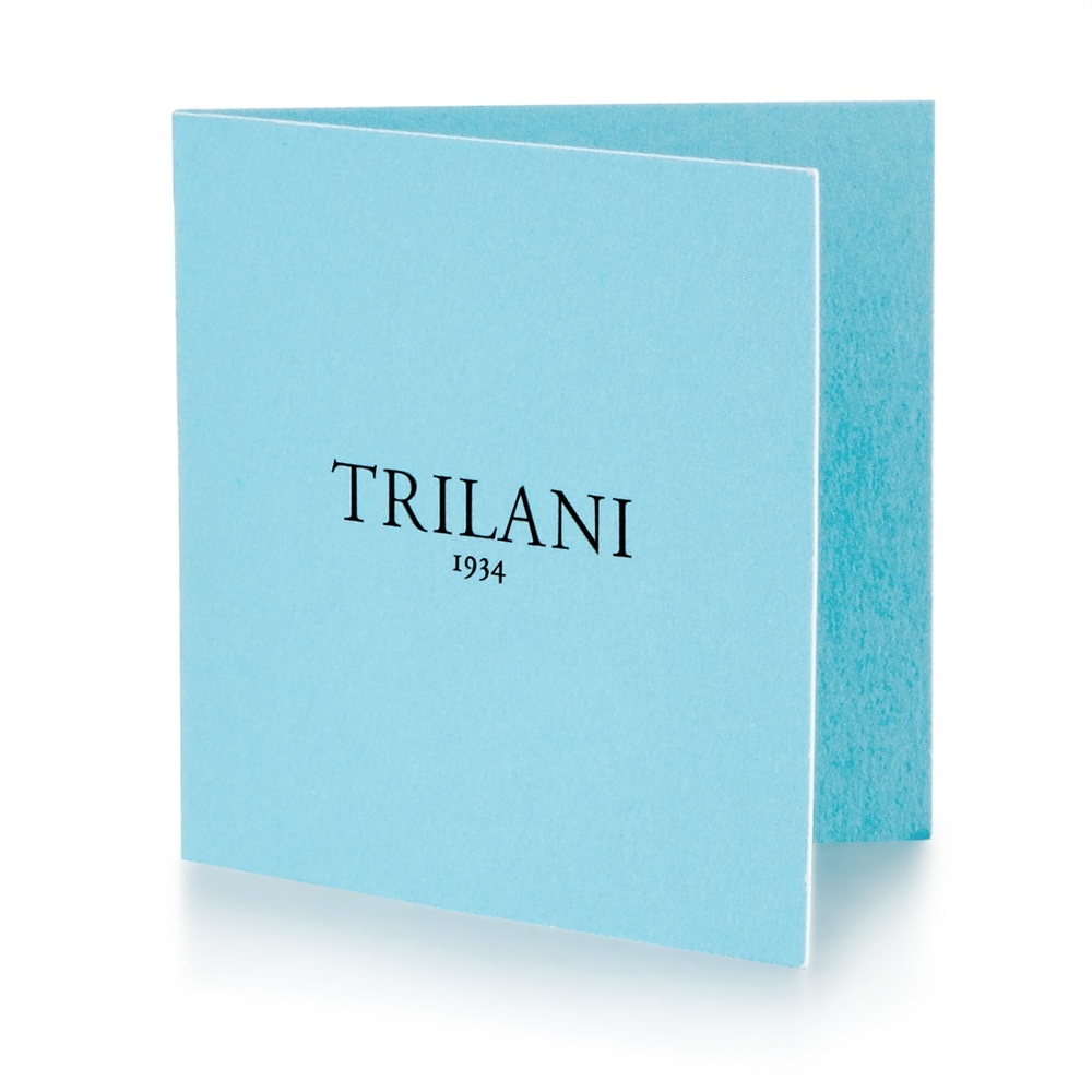 Trilani Boucles doreilles Argent sterling Oxyde de zirconium (CZ) en Argent Boucles d'oreilles