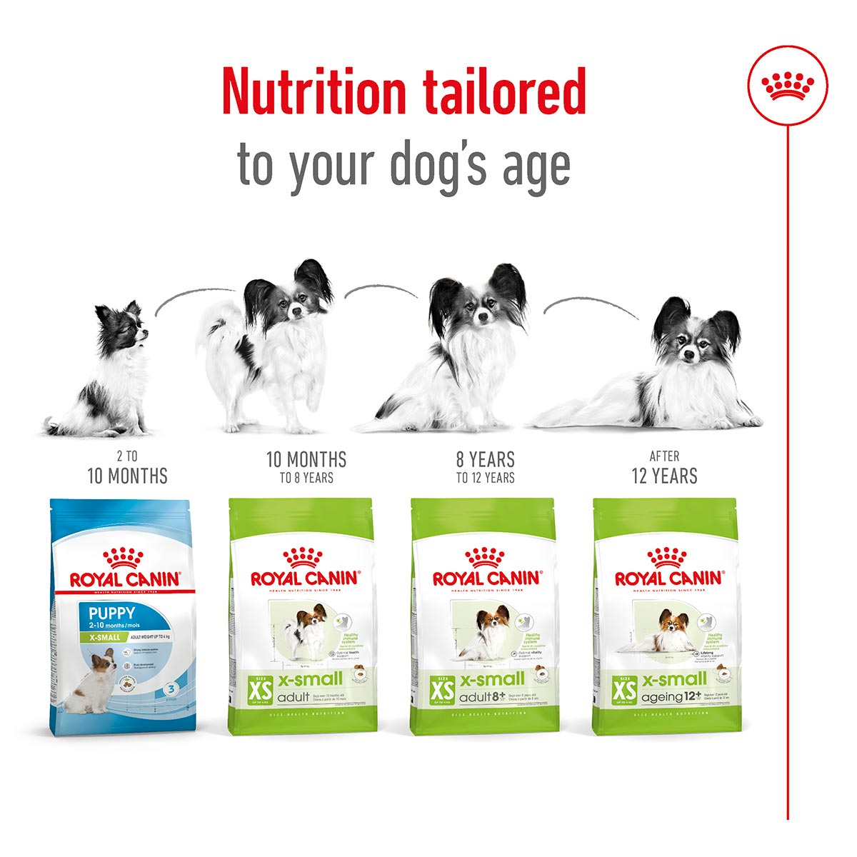 ROYAL CANIN X-SMALL Ageing 12+ Trockenfutter für ältere sehr kleine Hunde