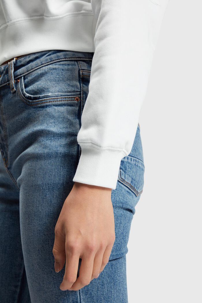 Color Dolphin Cropped-Hoodie