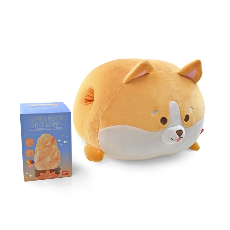 O conjunto inclui almofadas, um Corgi e uma lâmpada de sal do Himalaia.