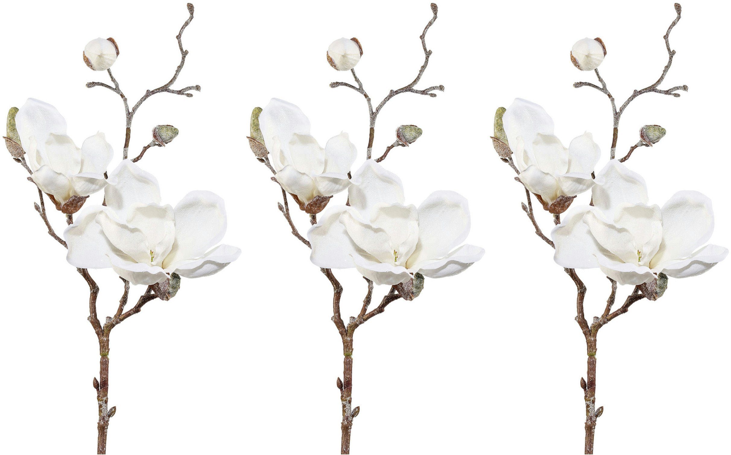 Winterliche Kunstpflanze Weihnachtsdeko Magnolie, Creativ green, Höhe 50 cm, Zweig mit Blüten und Knospen, in geeister Optik, 3er-Set