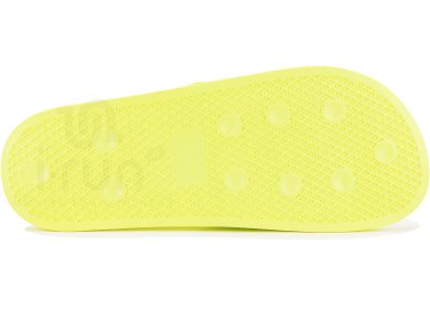 Champion Daytona M