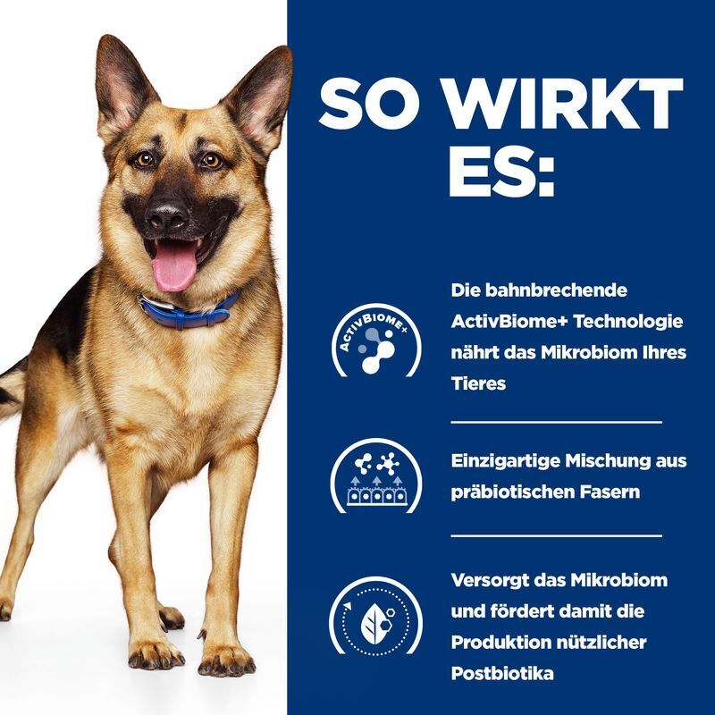Hill's Schonkost Hill's Prescription Diet Gastrointestinal Biome Digestive/Fibre Care 10 kg