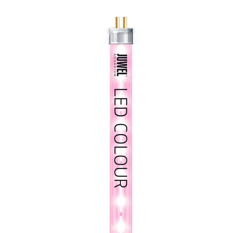 JUWEL Beleuchtung JUWEL Leuchtmittel LED Colour 89,5 cm, 17 W
