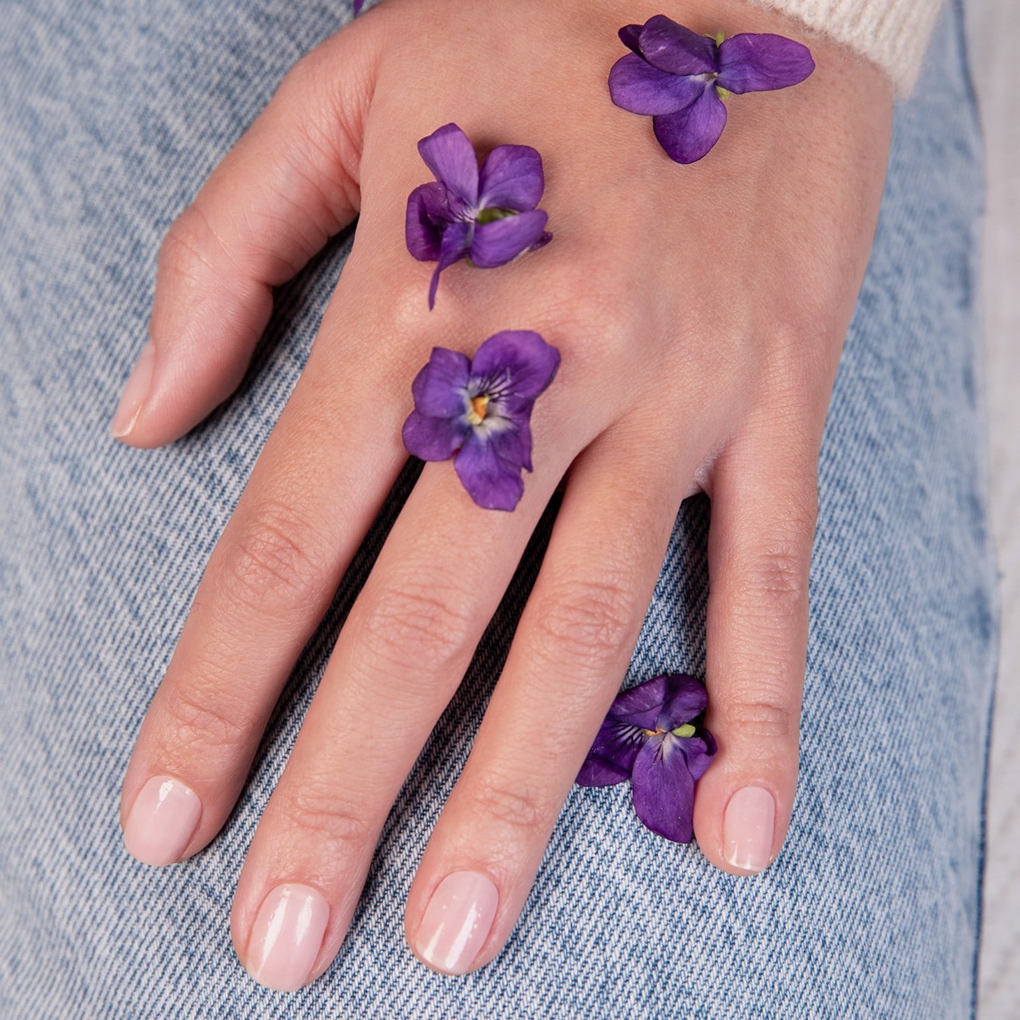 Flash Kit Hortensia