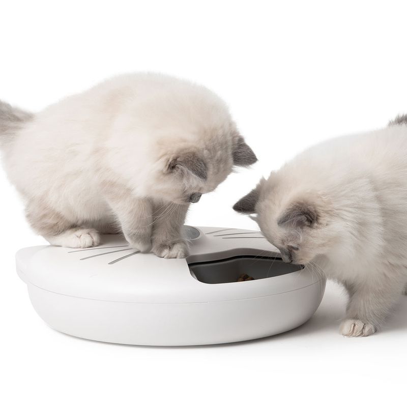 Catit Pixi Smart 6-Meal Futterautomat zu TOP-Preisen | bitiba %