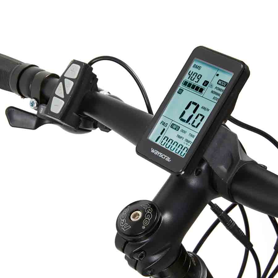 E-Bike Pedelec Anyway E200, von Wayscral - ATU