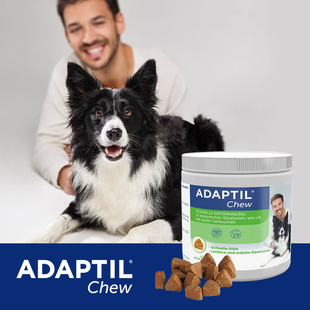 ADAPTIL Ergänzungsfutter & Aufzucht ADAPTIL Chew 30 Stück Anti Stress Snack