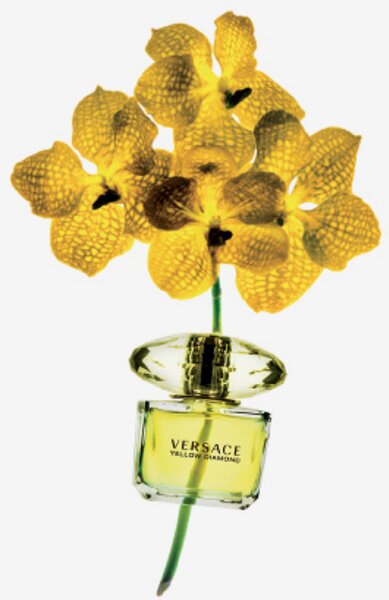 Versace Yellow Diamond Eau de Toilette