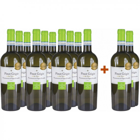 10+2 Paket Pinot Grigio - La Cantina dei Feudi