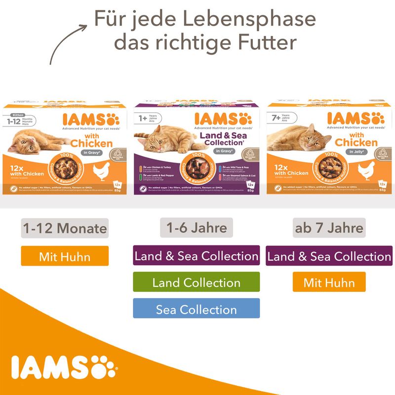 IAMS Advanced Nutrition Adult Sea Mix zu TOP-Preisen
