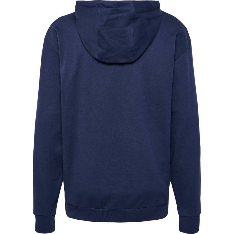 hummel hmlLGC NATE HOODIE Hoodie Herren