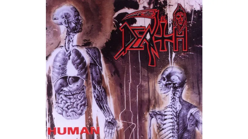 Human