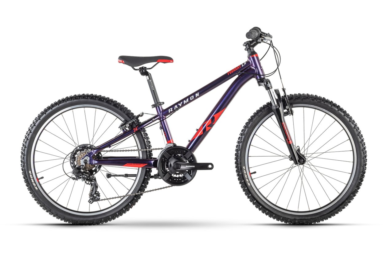 Raymon FourRay 1.0 - 2023 - 24 Zoll - Diamant