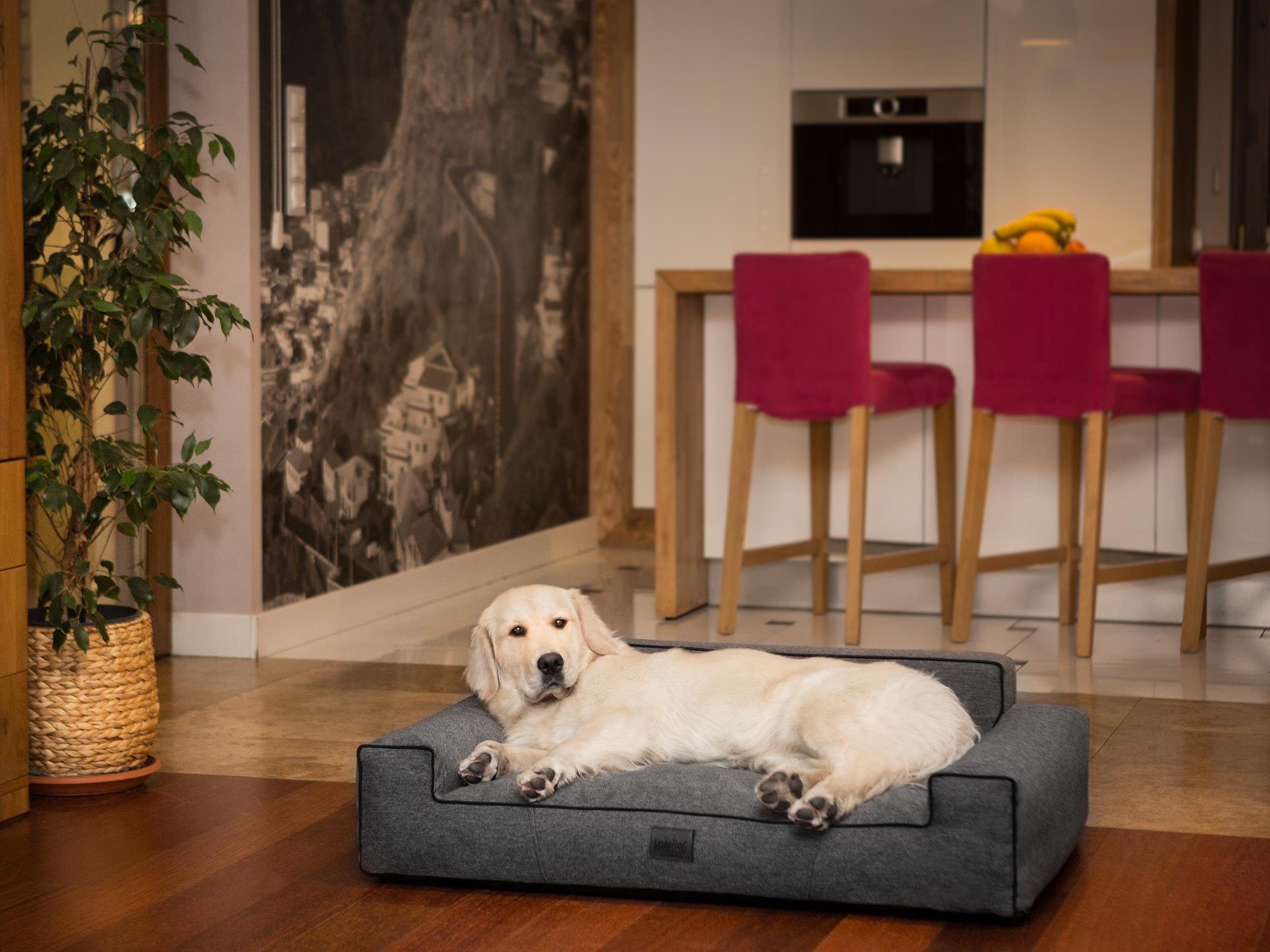 Bjird Tierbett Hundebett Luna Inari, Bezug abnehbar und waschbar, Hundesofa für kleie und grosse Hunde, Größe: M,L,XL/XXL