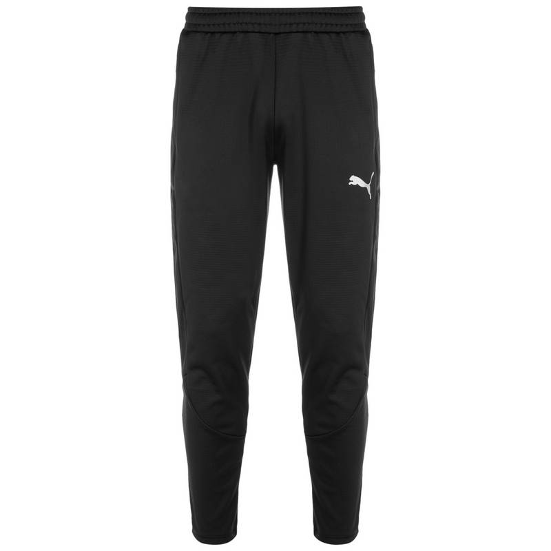 PUMA EVOSTRIPE Warm Trainingshose Herren