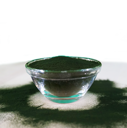 Fit-BARF Ergänzungsfutter & Aufzucht Fit-BARF Bio-Chlorella 250 g