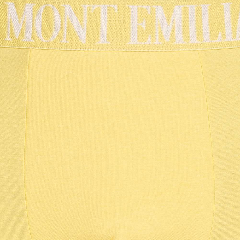 MONT EMILIAN 