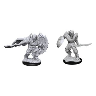 D&D Nolzur's Marvelous Miniatures: Dragonborn Fighter Male (2)