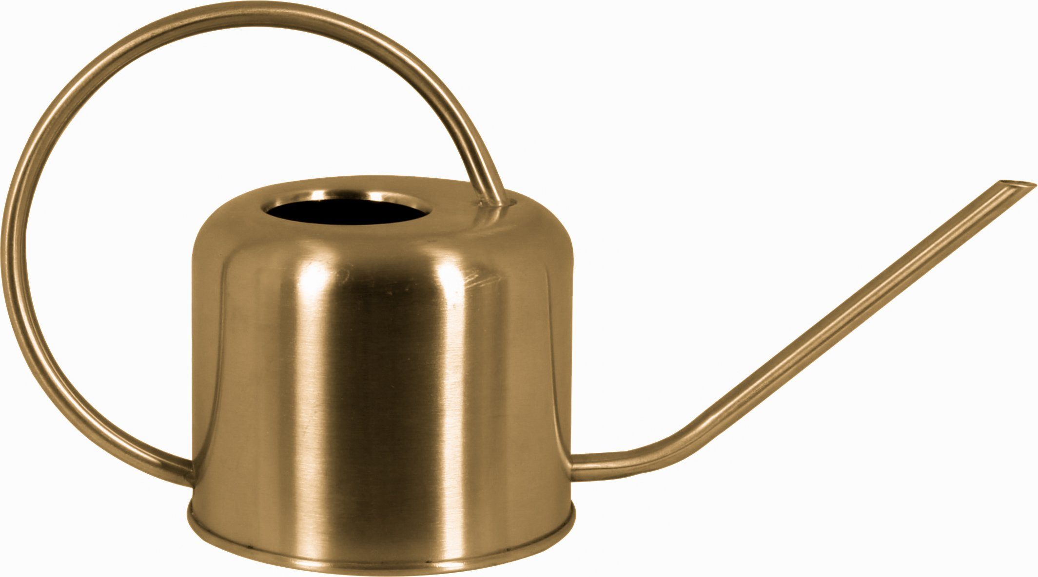 tegawo Gießkanne Edelstahl matt lackiert, 1 Liter
