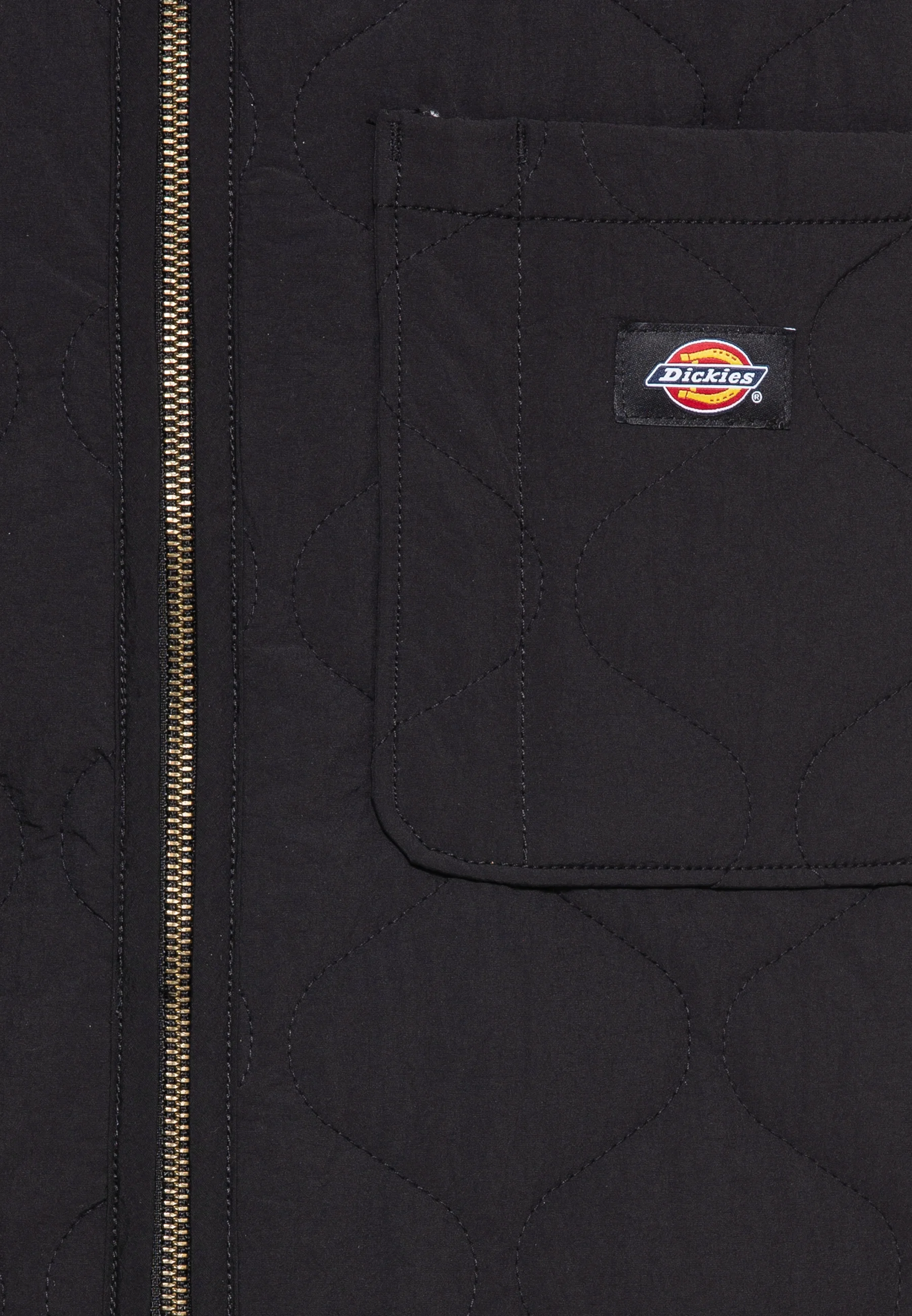 Dickies THORSBY LINER VEST UNISEX - Sin mangas