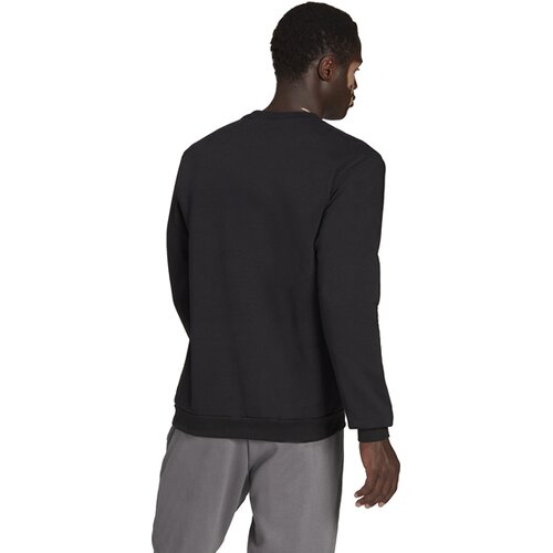 HERREN SWEATSHIRT ENTRADA 22 (NORMAL & LANG)