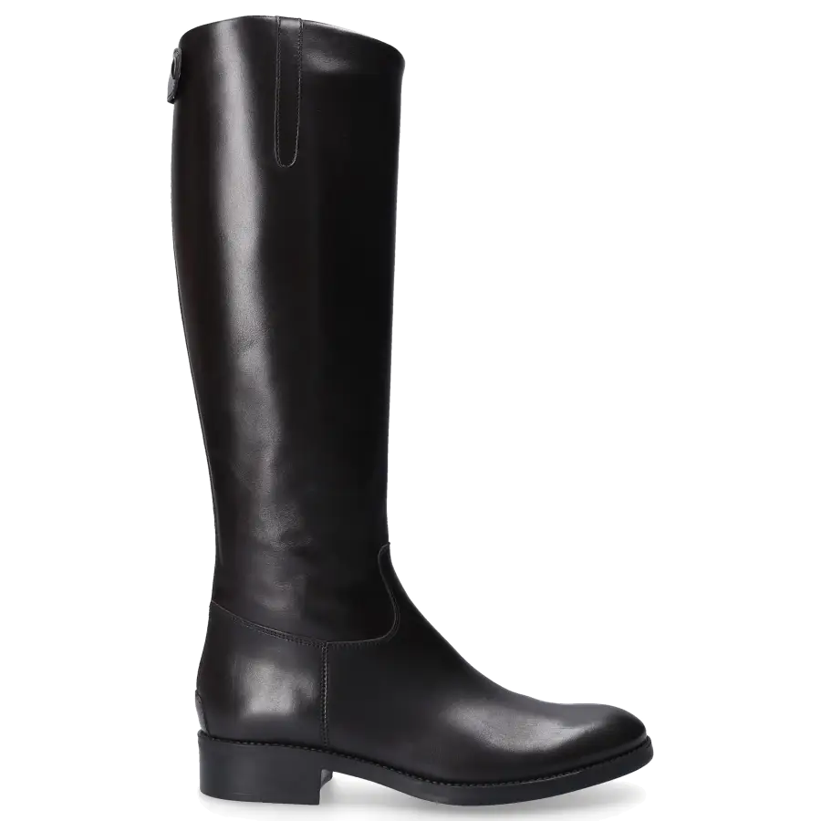 EN AVANT - Stiefel ECLIPSE Kalbsleder - braun