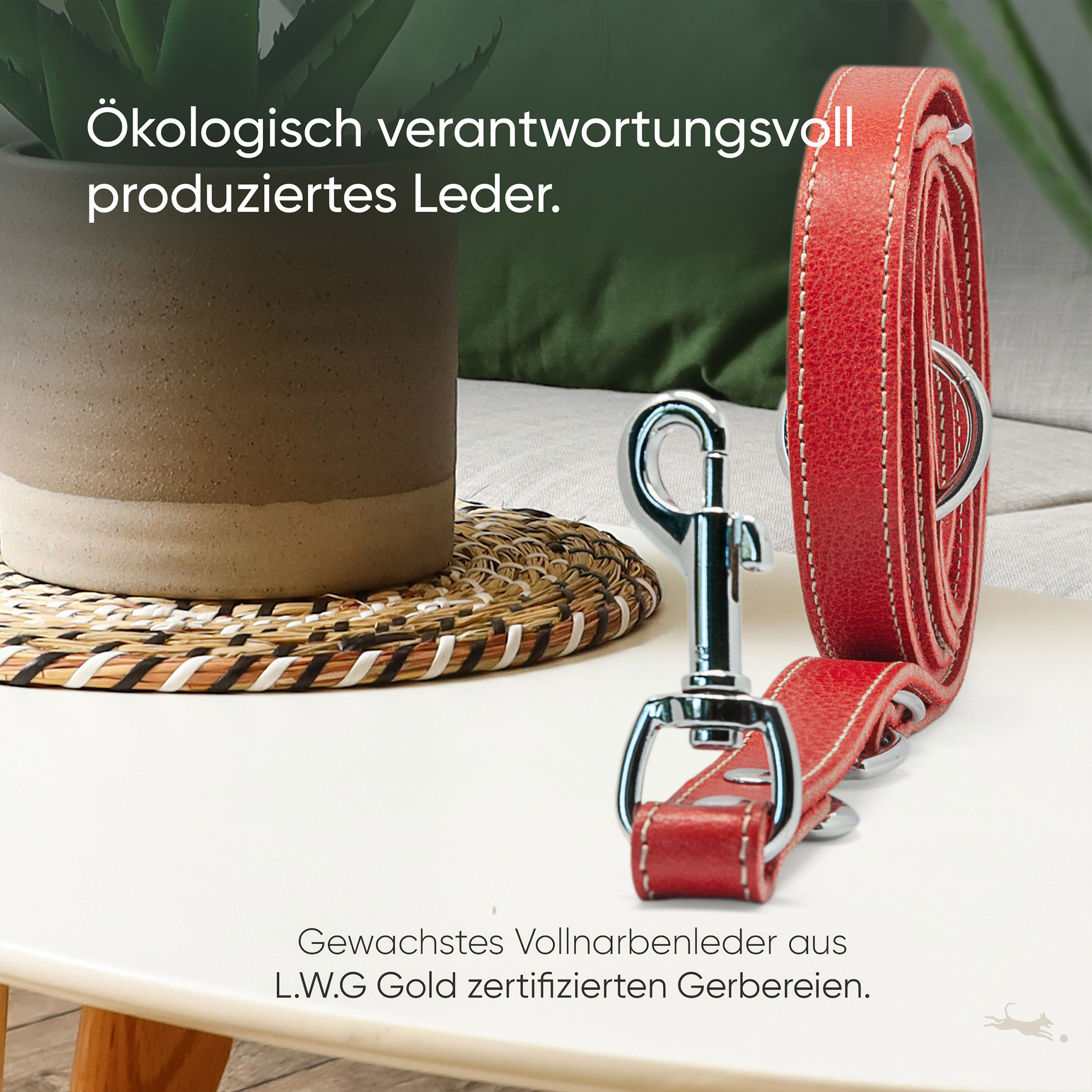 Freudentier Hundeleinen Freudentier Hundeleine aus Leder, verstellbar rot 2 cm