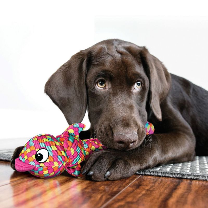 KONG Wubba Finz Hundespielzeug zu TOP-Preisen