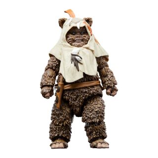 Star Wars Episode VI 40th Anniversary Black Series Actionfigur: Paploo
