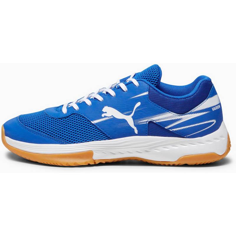 PUMA Varion II Hallenschuhe Herren