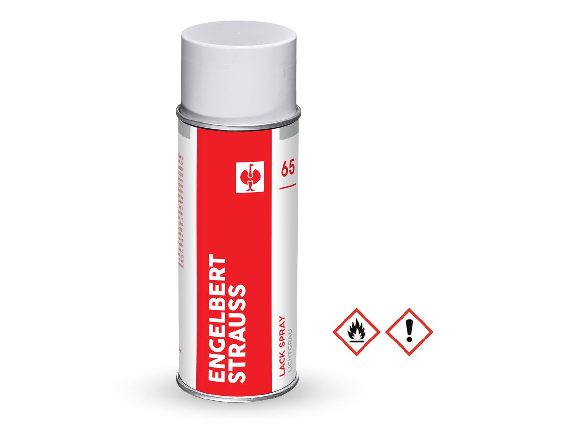 e.s. Lackspray #65