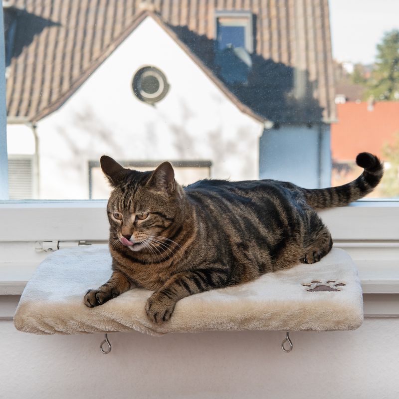 Fensterbrettauflage Plüschi zu TOP-Preisen