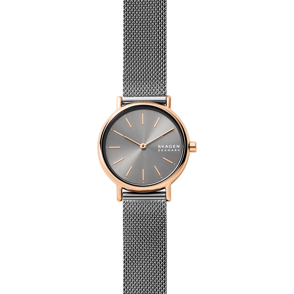 Skagen Montre pour femme Acier inoxydable Montre