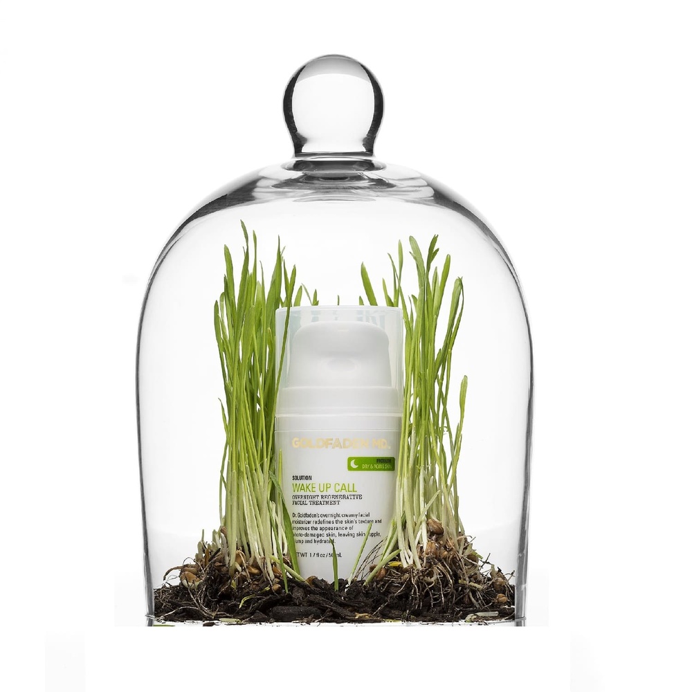 goldfaden md Wake Up Call Crème Hydratante