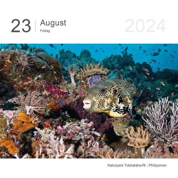 FARBEN DER ERDE 2024 - Kalender