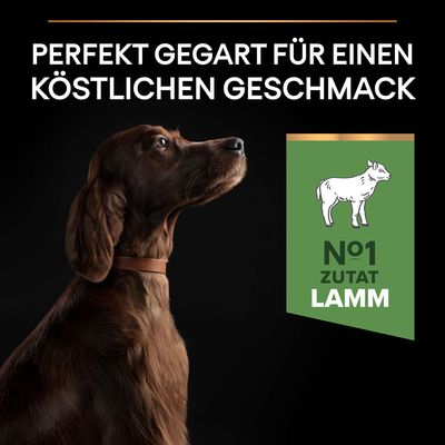 PURINA PRO PLAN Large Adult Athletic Lamm & Reis Sensitive Digestion