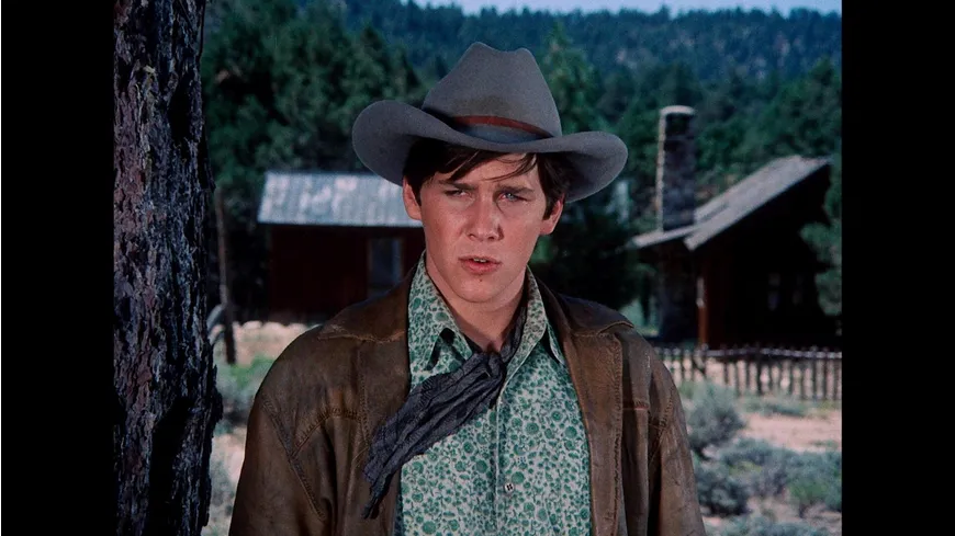 Die Leute von der Shiloh Ranch - Staffel 8 (HD-Remastered) (Fernsehjuwelen)  [9 DVDs]