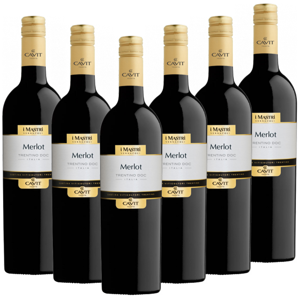 Cavit Merlot Italieno DOC Mastri Vernacoli Italien trocken