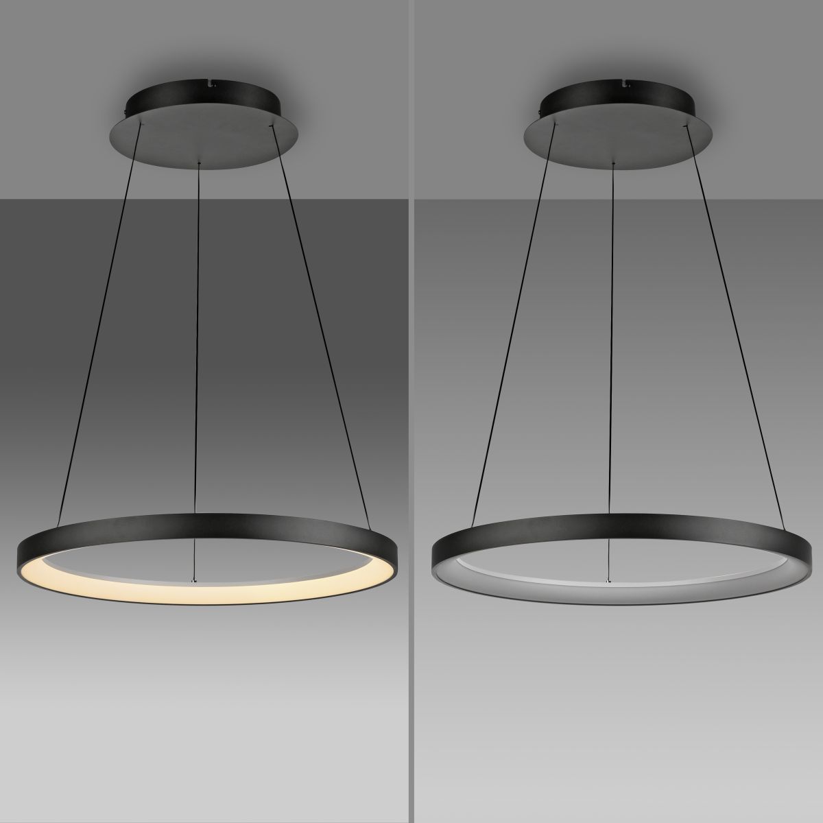 Paul Neuhaus Pendellampe Hoop Schwarz