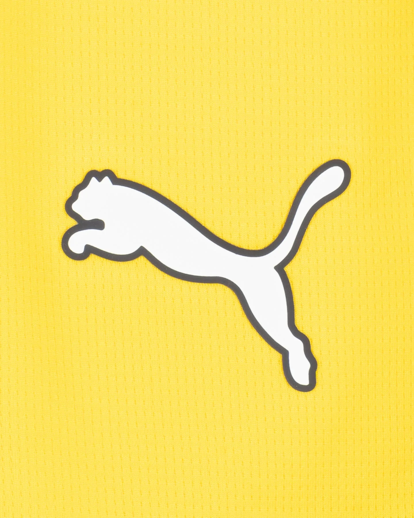 Futbalové šortky Puma Parma Away 24-25 M 780783-03