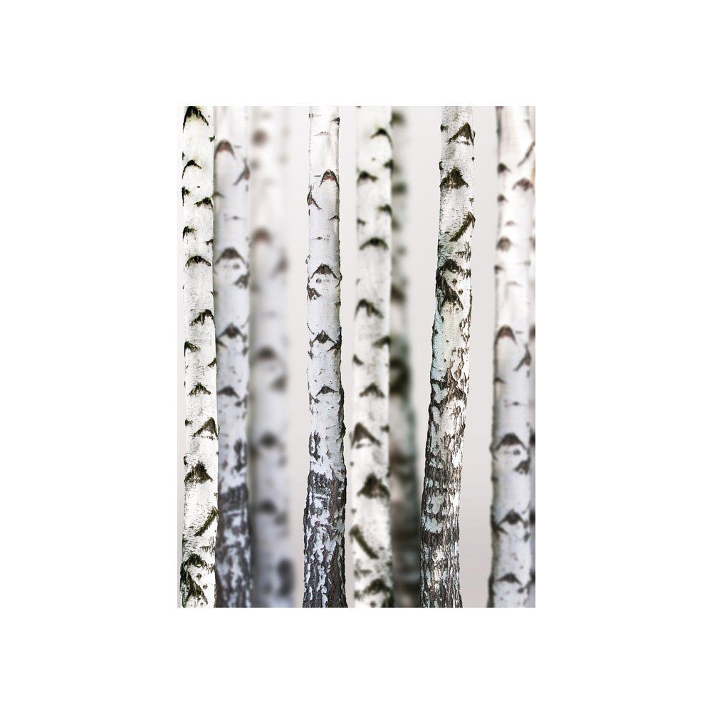 liwwing Fototapete Fototapete Birkenwald 3D perspektive Birke Stämme Wald liwwing no. 44, Wald