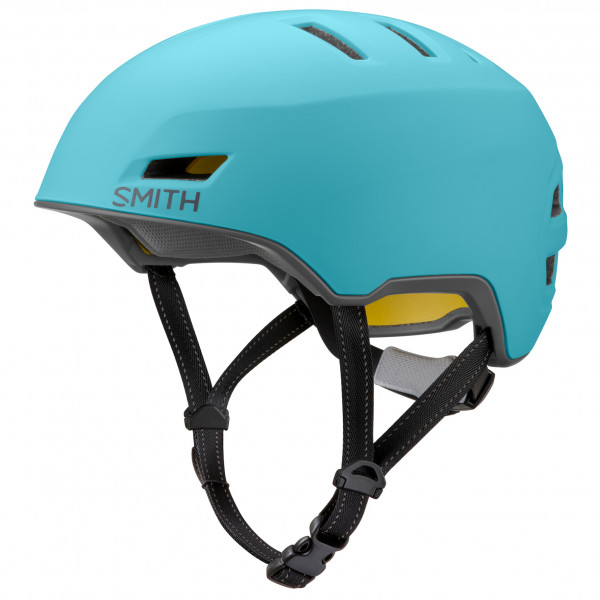 Smith - Express MIPS - Radhelm