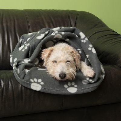 Fleecedecke Pawty