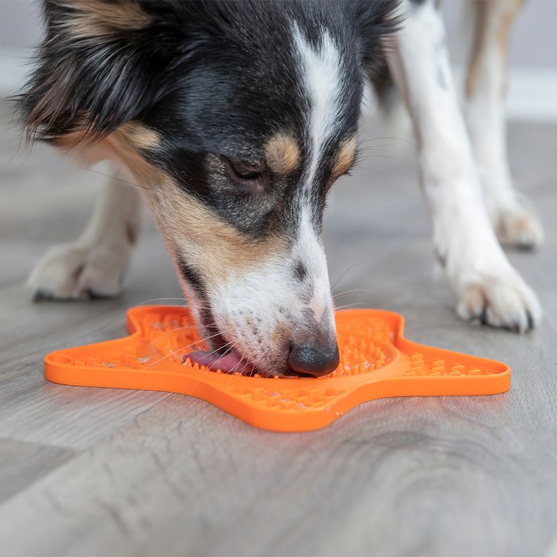 Trixie Lick'n'Snack Schleckmatte Stern zu TOP-Preisen | bitiba %